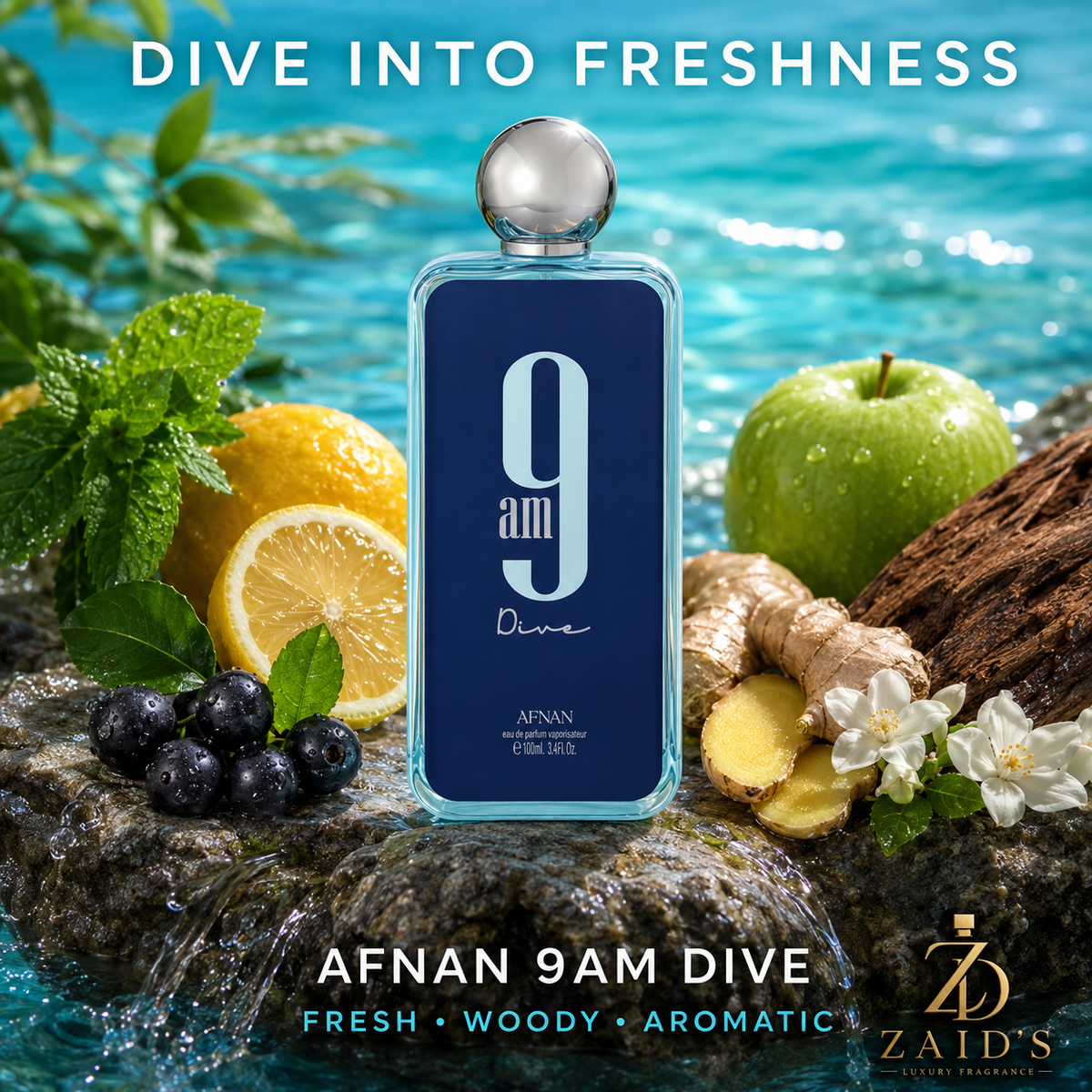 9AM Dive