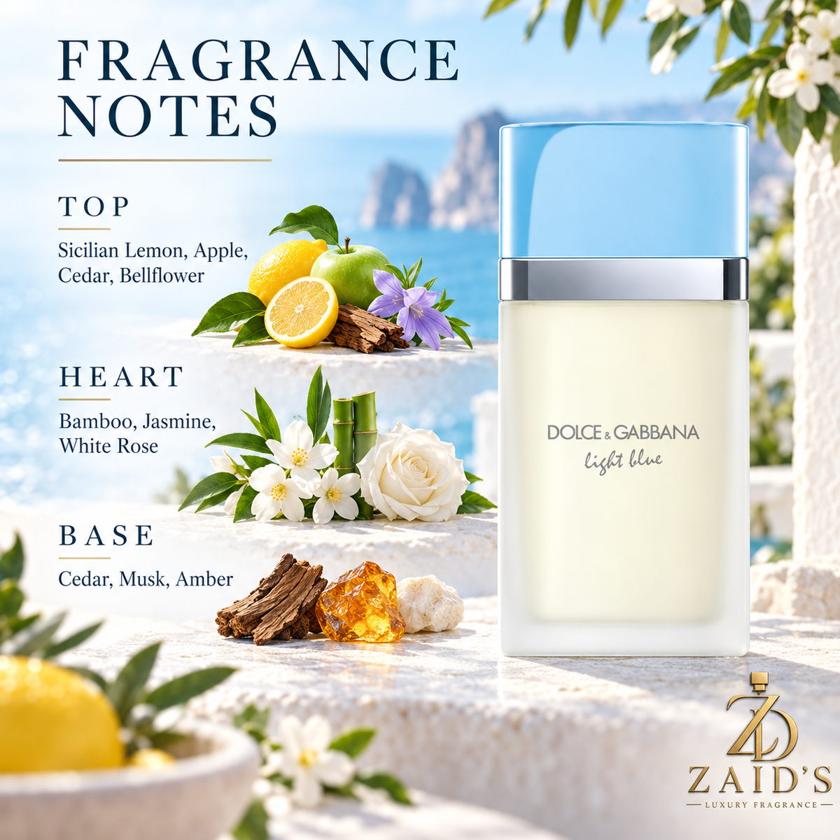 Dolce & Gabbana Light Blue